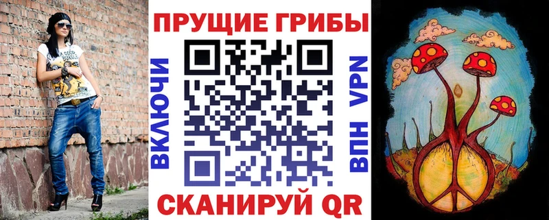 маркетплейс телеграм где купить наркоту Николаевск-на-Амуре Псилоцибиновые грибы MAGIC MUSHROOMS